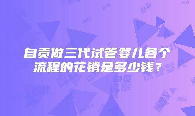 自贡做三代试管婴儿各个流程的花销是多少钱？