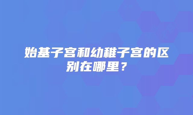 始基子宫和幼稚子宫的区别在哪里?