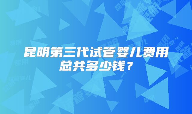 昆明第三代试管婴儿费用总共多少钱?