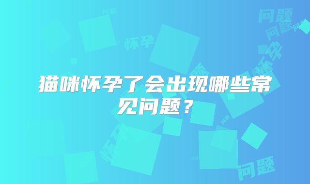 猫咪怀孕了会出现哪些常见问题?