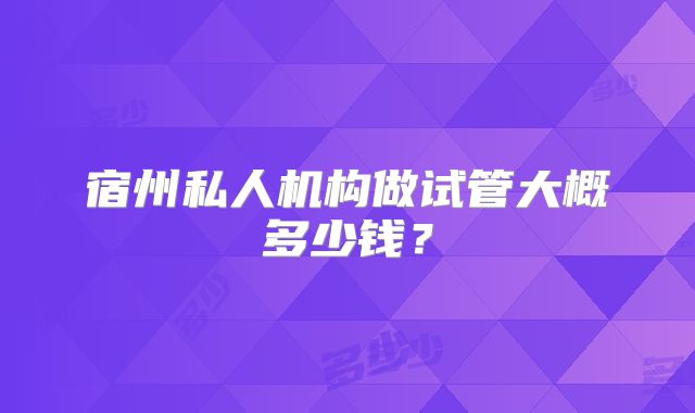 宿州私人机构做试管大概多少钱？
