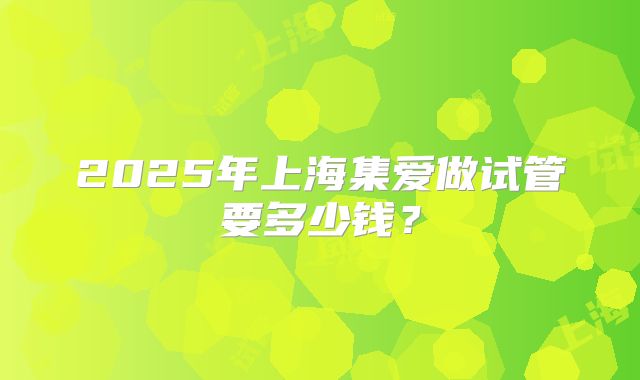 2025年上海集爱做试管要多少钱？