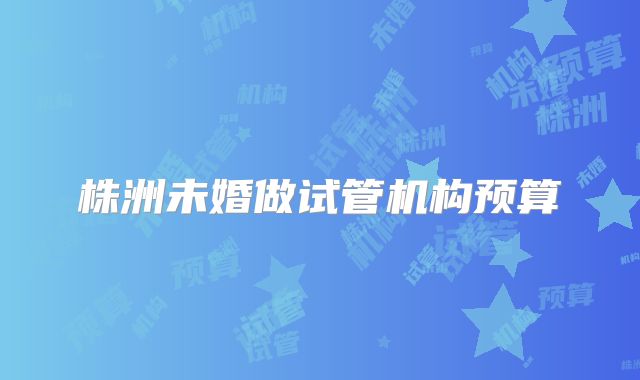 株洲未婚做试管机构预算