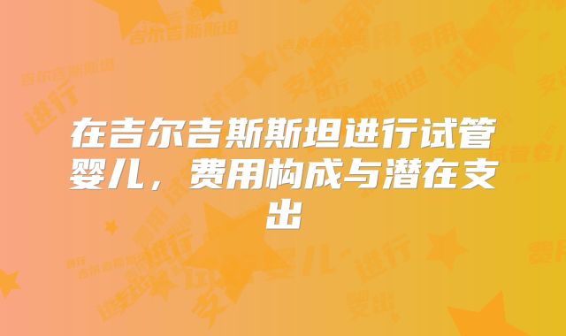 在吉尔吉斯斯坦进行试管婴儿，费用构成与潜在支出