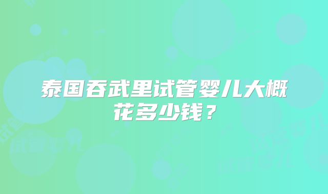 泰国吞武里试管婴儿大概花多少钱?