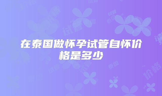 在泰国做怀孕试管自怀价格是多少