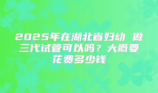 2025年在湖北省妇幼 做三代试管可以吗?大概要花费多少钱