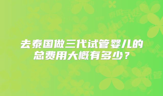 去泰国做三代试管婴儿的总费用大概有多少?