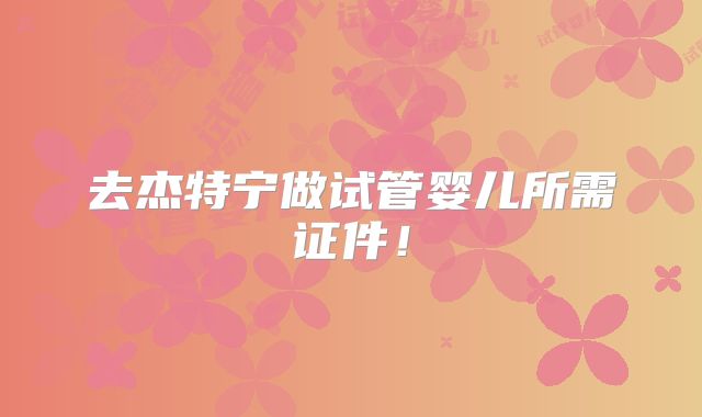 去杰特宁做试管婴儿所需证件！