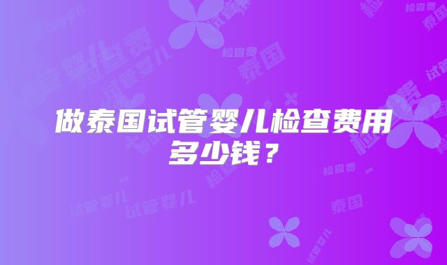 做泰国试管婴儿检查费用多少钱?