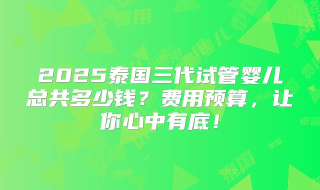 2025泰国三代试管婴儿总共多少钱？费用预算，让你心中有底！