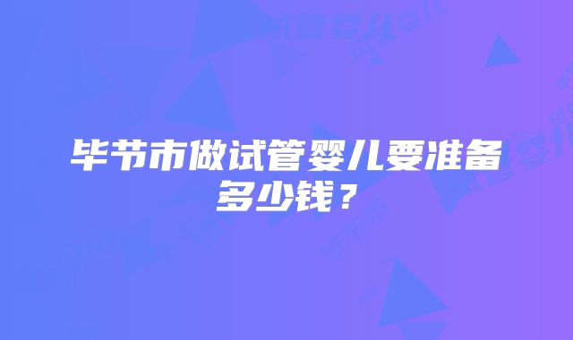 毕节市做试管婴儿要准备多少钱？