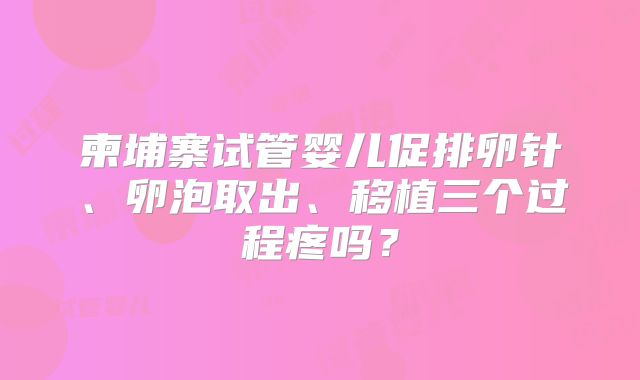 柬埔寨试管婴儿促排卵针、卵泡取出、移植三个过程疼吗？