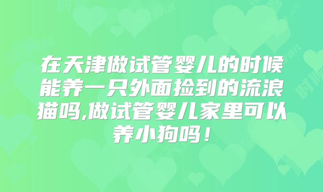 在天津做试管婴儿的时候能养一只外面捡到的流浪猫吗,做试管婴儿家里可以养小狗吗!