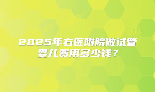 2025年右医附院做试管婴儿费用多少钱？
