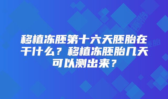 移植冻胚第十六天胚胎在干什么?移植冻胚胎几天可以测出来?