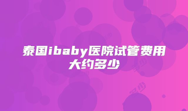 泰国ibaby医院试管费用大约多少