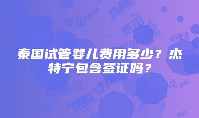泰国试管婴儿费用多少？杰特宁包含签证吗？