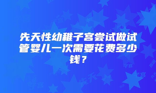 先天性幼稚子宫尝试做试管婴儿一次需要花费多少钱?