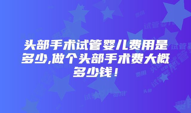 头部手术试管婴儿费用是多少,做个头部手术费大概多少钱！