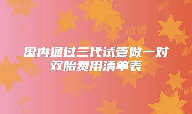 国内通过三代试管做一对双胎费用清单表