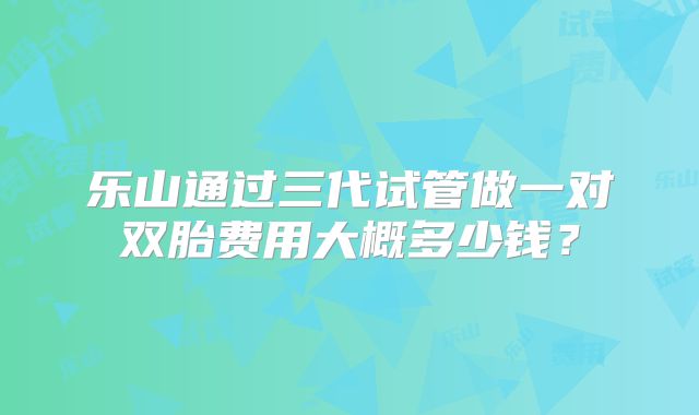 乐山通过三代试管做一对双胎费用大概多少钱?
