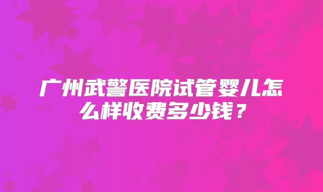广州武警医院试管婴儿怎么样收费多少钱？