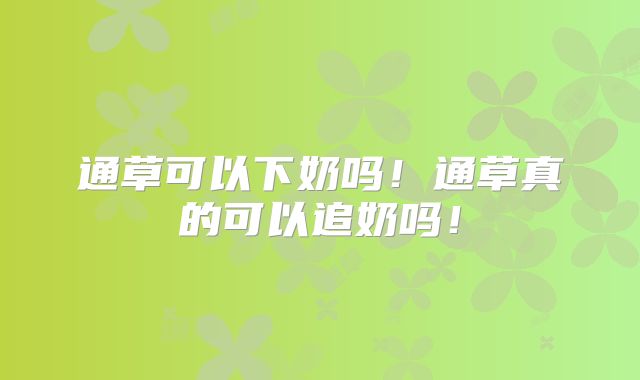 通草可以下奶吗！通草真的可以追奶吗！