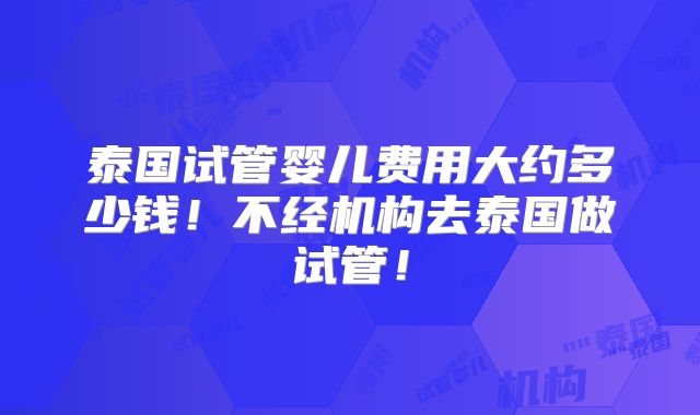 泰国试管婴儿费用大约多少钱！不经机构去泰国做试管！