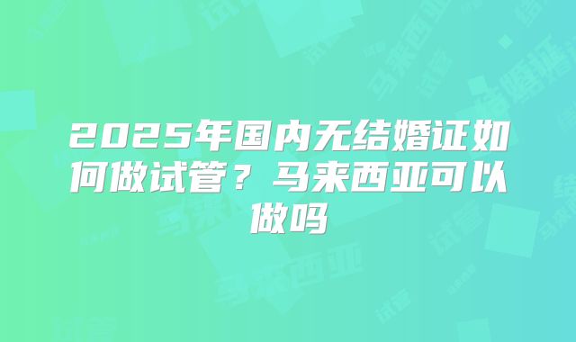 2025年国内无结婚证如何做试管?马来西亚可以做吗