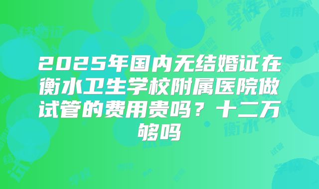 2025年国内无结婚证在衡水卫生学校附属医院做试管的费用贵吗?十二万够吗