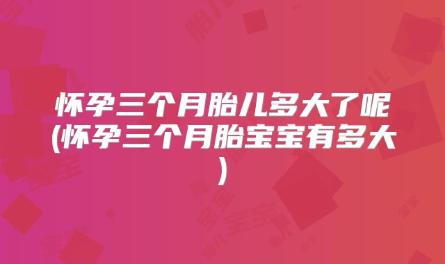 怀孕三个月胎儿多大了呢(怀孕三个月胎宝宝有多大)