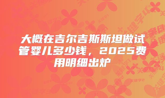 大概在吉尔吉斯斯坦做试管婴儿多少钱，2025费用明细出炉