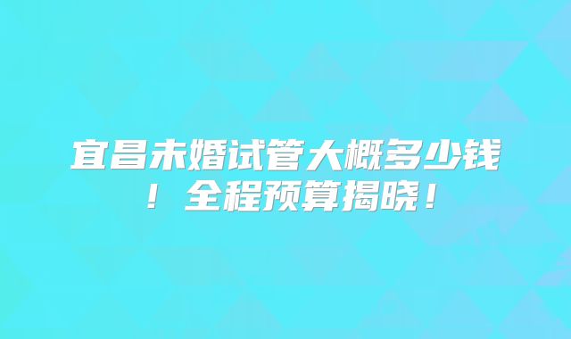 宜昌未婚试管大概多少钱！全程预算揭晓！