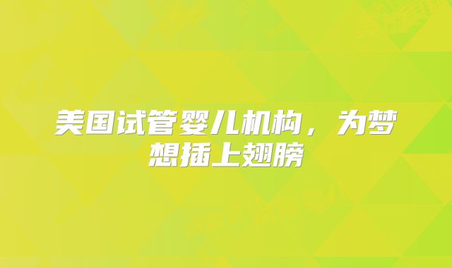美国试管婴儿机构，为梦想插上翅膀