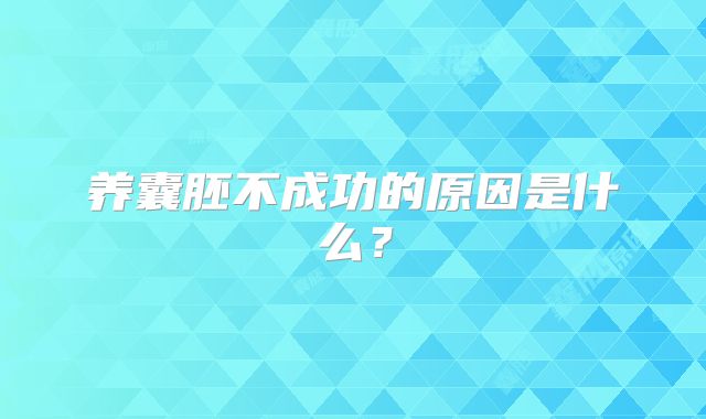 养囊胚不成功的原因是什么?