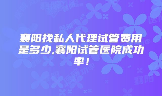 襄阳找私人代理试管费用是多少,襄阳试管医院成功率！