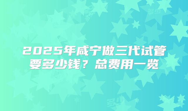 2025年咸宁做三代试管要多少钱？总费用一览