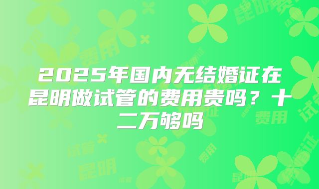 2025年国内无结婚证在昆明做试管的费用贵吗?十二万够吗