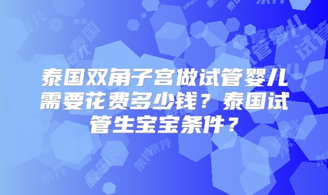泰国双角子宫做试管婴儿需要花费多少钱?泰国试管生宝宝条件?