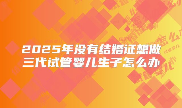 2025年没有结婚证想做三代试管婴儿生子怎么办