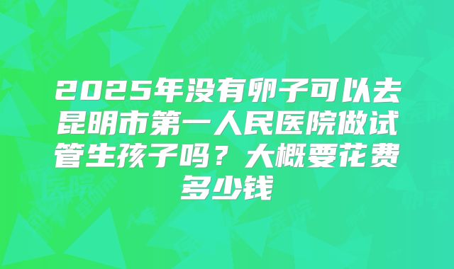 2025年没有卵子可以去昆明市第一人民医院做试管生孩子吗？大概要花费多少钱