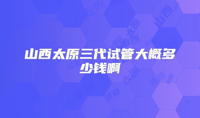 山西太原三代试管大概多少钱啊