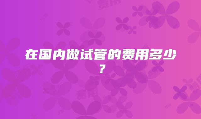 在国内做试管的费用多少?