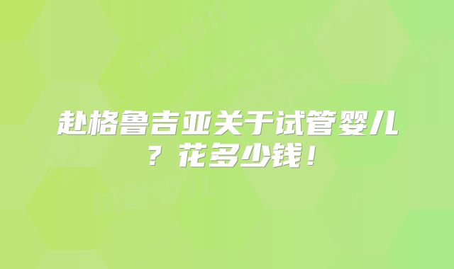 赴格鲁吉亚关于试管婴儿?花多少钱!