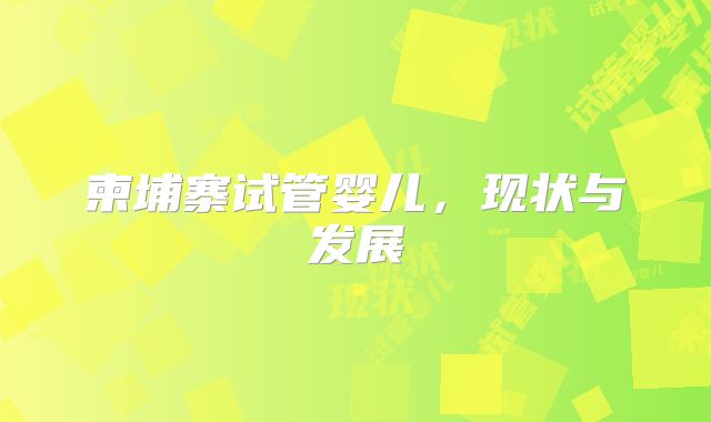 柬埔寨试管婴儿，现状与发展