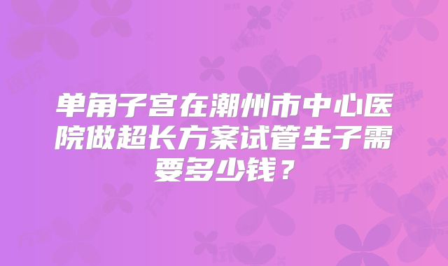 单角子宫在潮州市中心医院做超长方案试管生子需要多少钱？