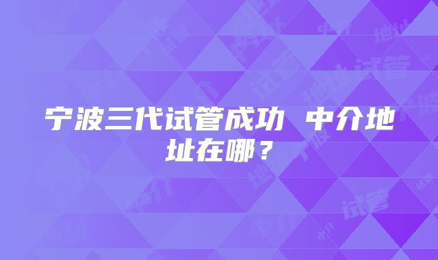 宁波三代试管成功 中介地址在哪？