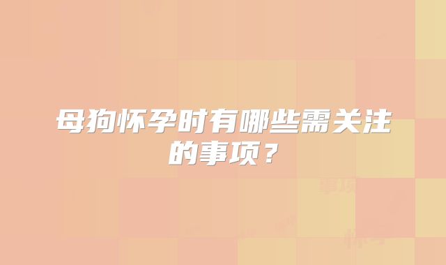 母狗怀孕时有哪些需关注的事项?