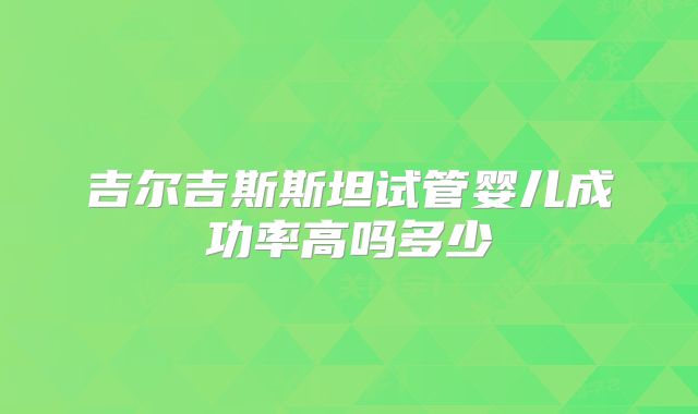吉尔吉斯斯坦试管婴儿成功率高吗多少